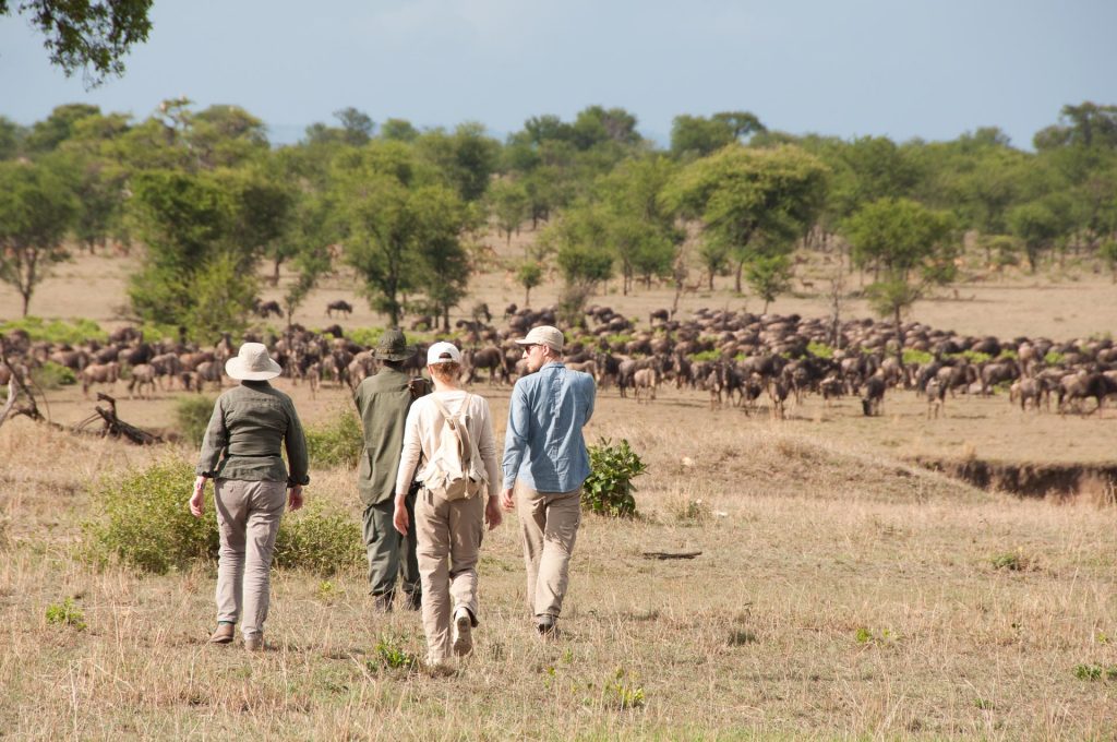 Walking Safari in Serengeti Tansania - Globetrotter Select