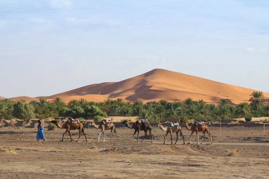 Dünenlandschaft Erg Chebbi in Marokko - Globetrotter Select